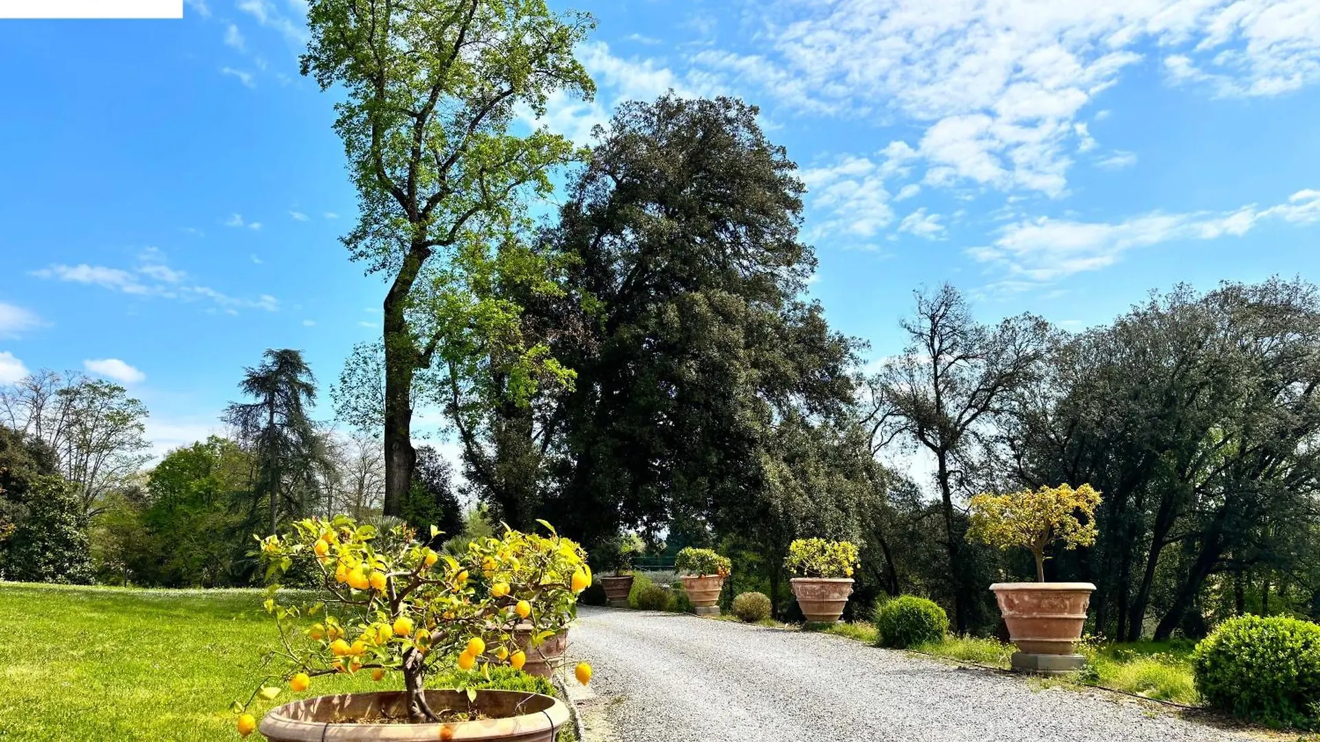 Villa Orlando Capannori
